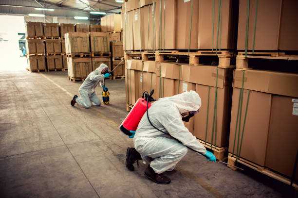 Best Local Pest Control Services  in Douglass Hills, KY