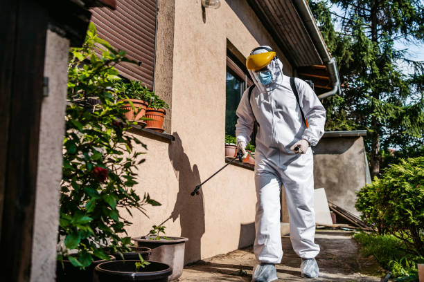 Best Best Pest Control Near Me  in Douglass Hills, KY