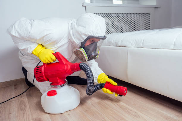 Best Pest Control Near Me in Douglass Hills, KY