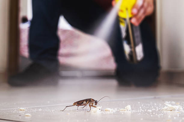 Pest Prevention Services in Douglass Hills, KY