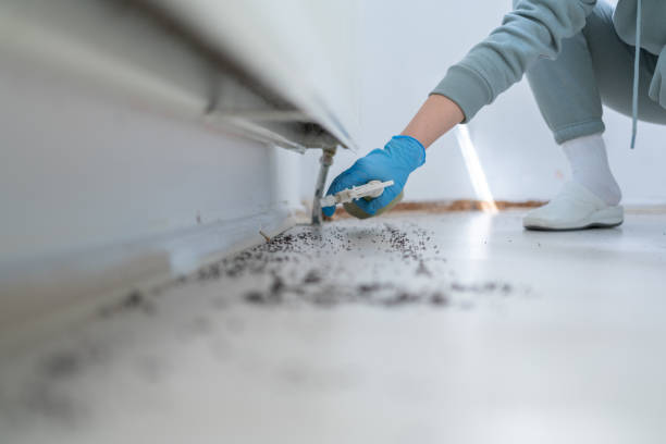 Best Commercial Pest Control Services  in Douglass Hills, KY