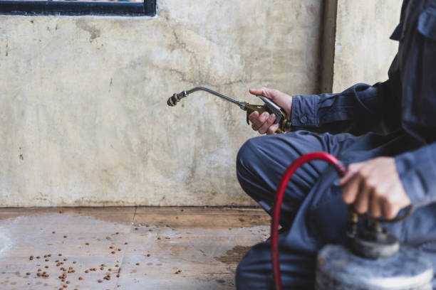 Best Pest Prevention Services  in Douglass Hills, KY
