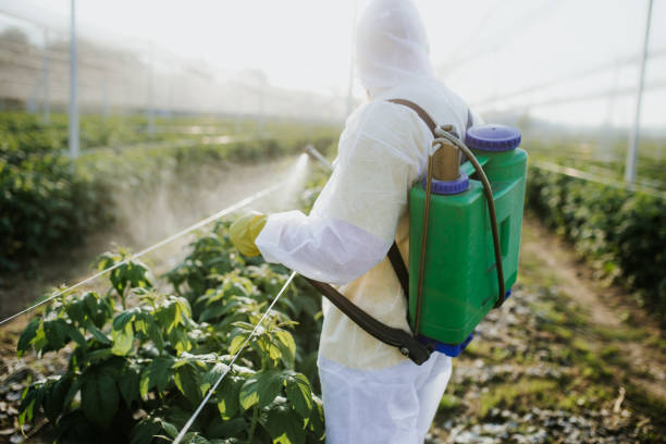 Best Mosquito Control Services  in Douglass Hills, KY